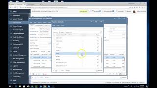 iRely i21 video