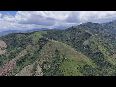 Finca la libertad, Cañasgordas Antioquia