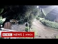 Lion caught on CCTV snatching a rottweiler - BBC Africa