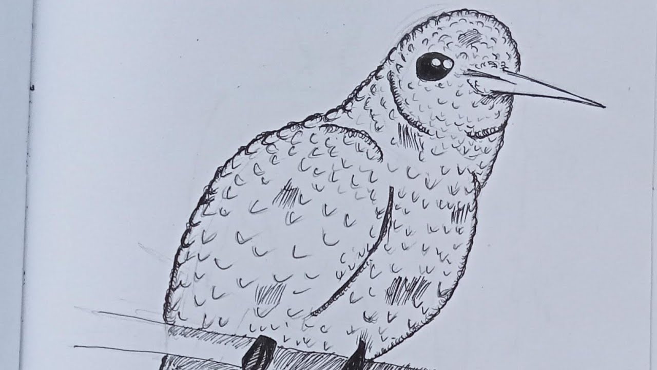 Inktober 2025 Day 17 - Ornate