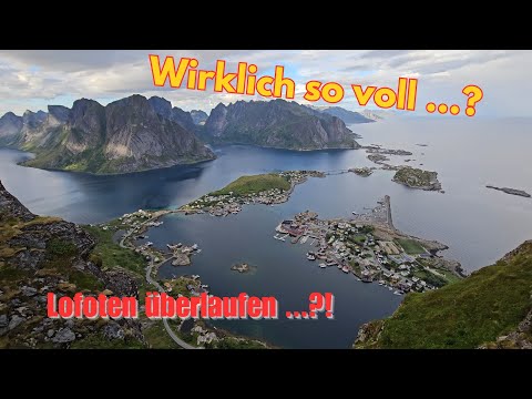 Vanlife auf den Lofoten - zu Recht so beliebt