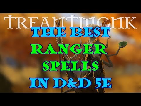 The Best Ranger Spells in D&D 5e