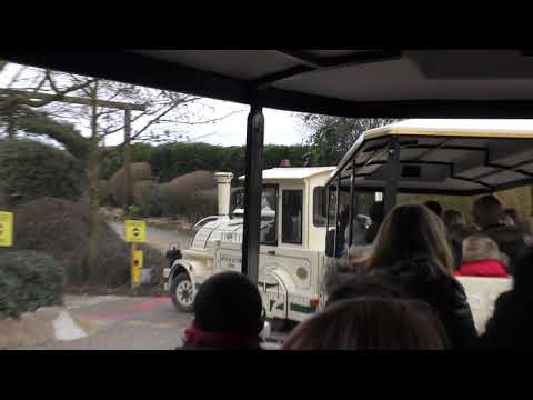 good Train ride at Colchester Zoo 3feb18 337p
