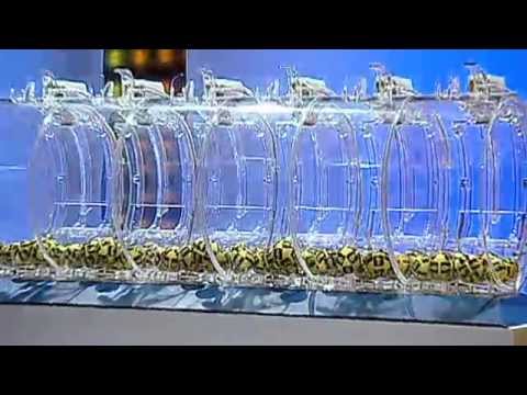 Sportka - 18. 10. 2015