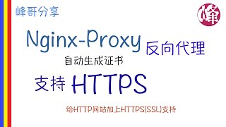 如何使用 Nginx-proxy 反向代理把HTTP网站(服务)变成HTTPS