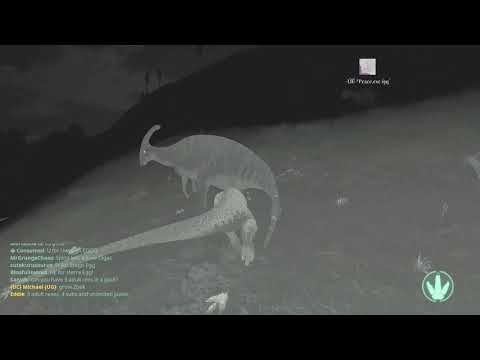 Average Allo pack hunts 2 Maias and a Para - The Isle