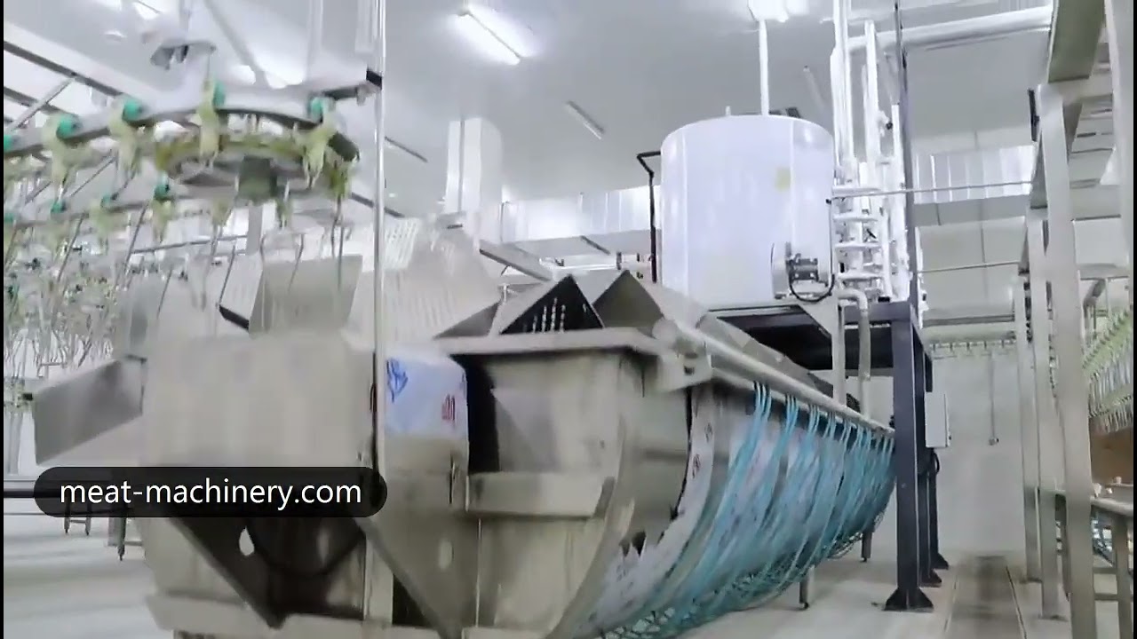 Complete Poultry Slaughtering Processing Line