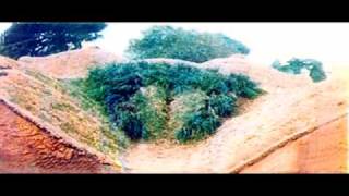 Los Lagartos-El señor G