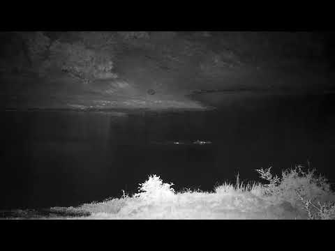 Djuma: Hippo arrives at dam - 20:44 - 10/09/2022