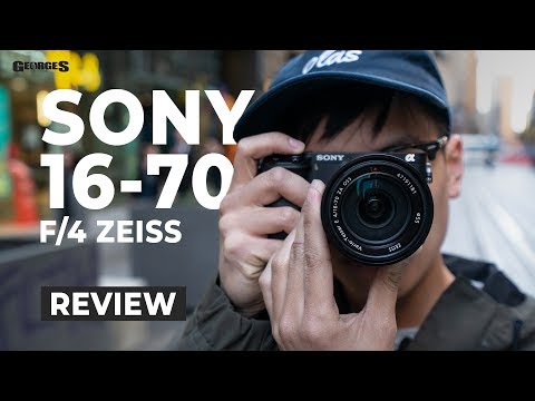 Video thumbnail for Video Review 2
