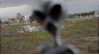 Arizona Man Sells His 65m Ranch Because Of Repeated Alien Attacks