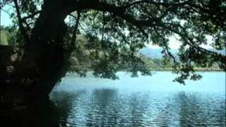 Los Alegres de Teran Falsa Ilusion