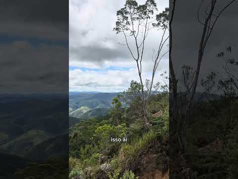 Visual da rota da serpente  - Adrianópolis Pr