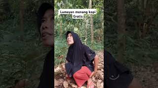 Download lagu di bobodo hayang kopi #bodoransundangakak #lucu #memengakakkocak #ngakak mp3 Download lagu di bobodo hayang kopi #bodoransundangakak #lucu #memengakakkocak #ngakak mp3