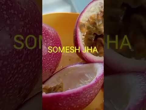 passion fruit पैशन फ्रूट passion flowers राखी बेल फूल rakhi vel flower पैशन फ्लावर passion vines
