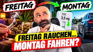 MPU FAQ - Alkohol, Cannabis, BtM, Punkte, Straftaten | MPU-World 2026
