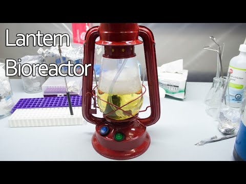 A Kerosene Lantern... Bioreactor?