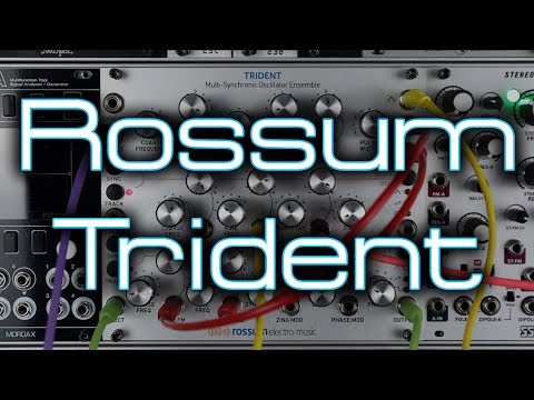Rossum Electro-Music Trident Multi-Synchronic Oscillator Ensemble Eurorack Module 2019 - 2021 - Silver image 5