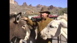 ASK JEFF WILLIAMS.COM, Thanks to All my Viewers