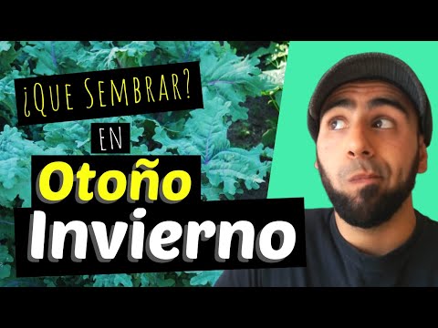 , title : '¿Que Sembrar en OTOÑO // INVIERNO?'