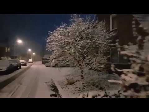Film Vogelwaarde onder de sneeuw
