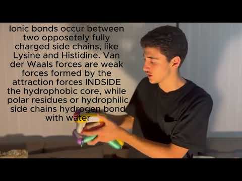 How AI Solved the Protein Folding Problem, or Levinthal's Paradox