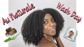 SIMPLE DIY AU NATURALE WASH DAY...NO STORE BOUGHT | RUTH NANDA