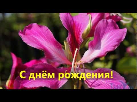 С днём рождения, Кэт (Москва)!!!