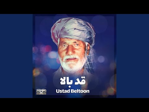 Qandahar shenki baghona