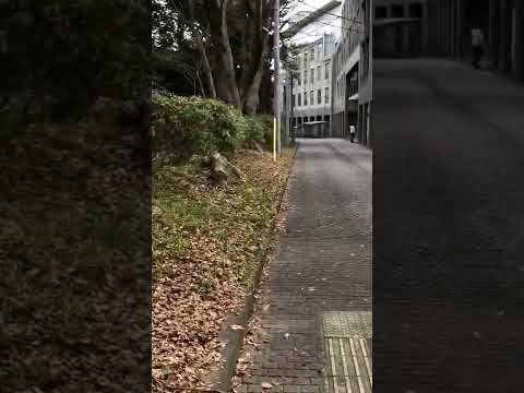 クーラント数理科学研究所について詳しく解説