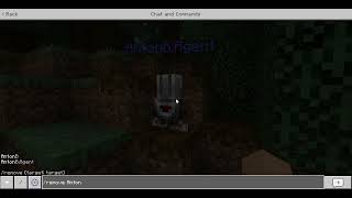 How to Remove the Agent in Minecraft