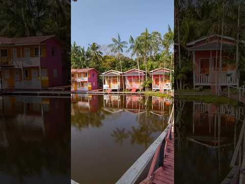 Chacara Paixão do Rouxinol - Oiapoque AP  #aaventuraestalafora #vanlife #amapa #oiapoque #brasil