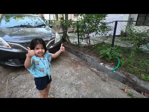 Papa Dog Mommy Dog and Baby Dog