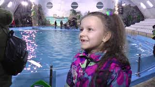 У Харкові відбулося благодійне шоу с дельфінами