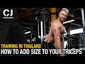 HOW TO Add SIZE to Your TRICEPS