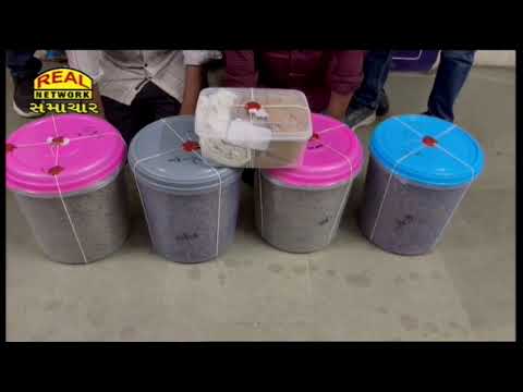 Real News 12-04-2025