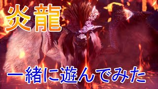【MHW復帰実況19】犬の古龍と遊んでみた回