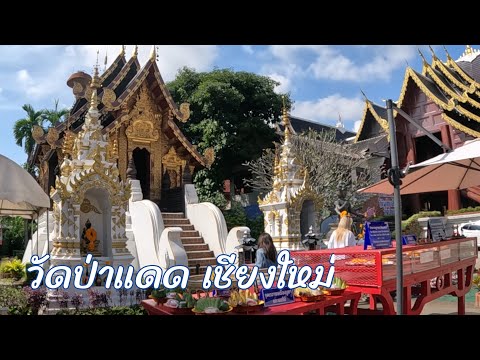 วัดป่าแดด