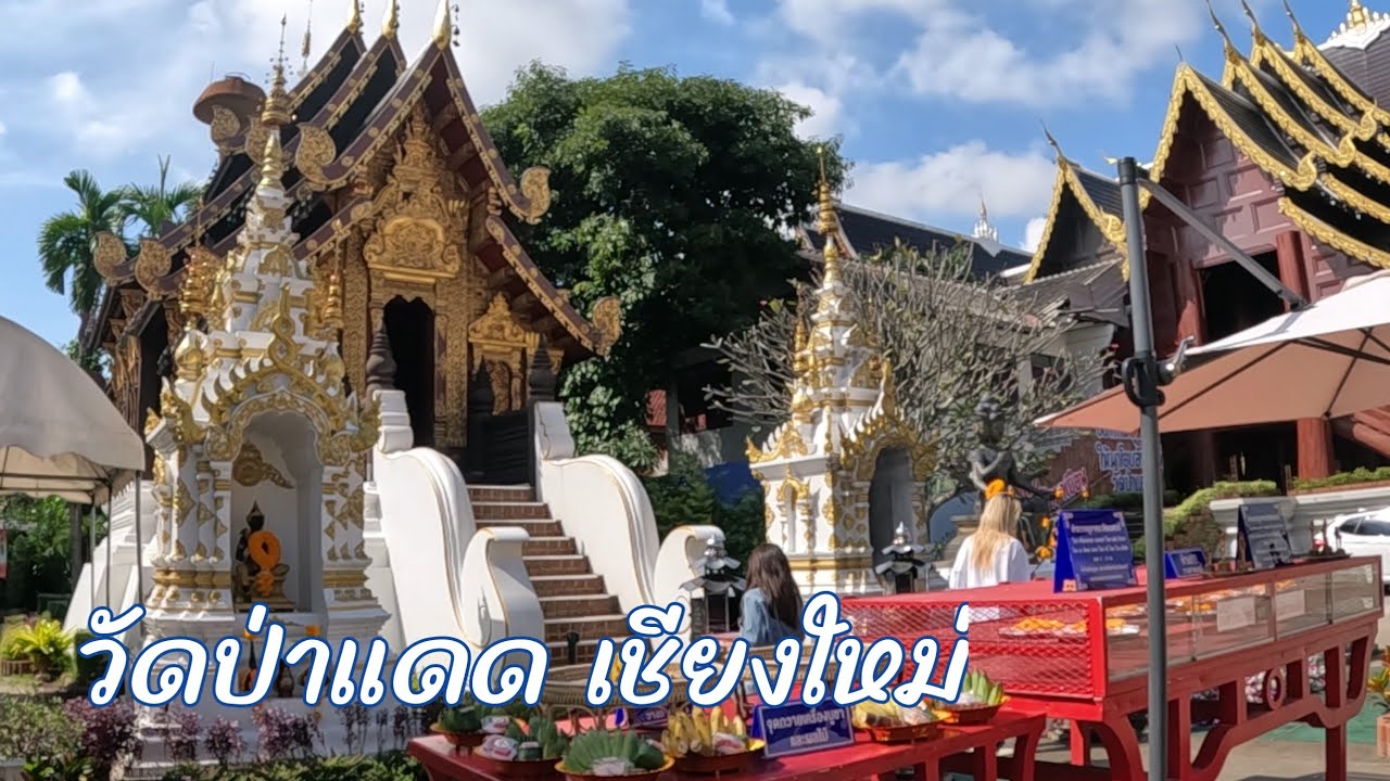 วัดป่าแดด