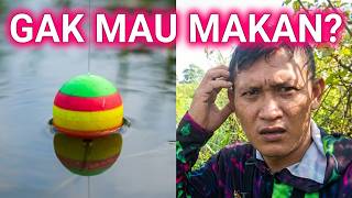 Download lagu Pake Pelampung umpannya malah gak dimakan Betok | Mancing Betok #mancingliaran mp3