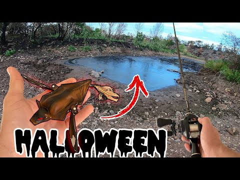 From Fish to the BAT for HALLOWEEN ?! The reel comes off in the middle of a fight!