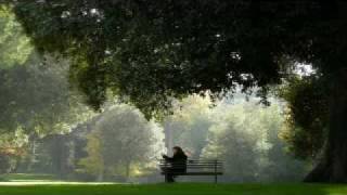 I Pooh - Nel cuore e nell-anima.