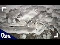 Family describes getting hit by Oregon ice storm