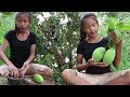 Survival skills: Find & meet natural mango for food - Green mango eating delicious #21 Survival skills: Find & meet natural mango for food - Green mango eating delicious #21