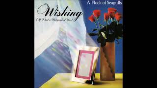 A Flock Of Seagulls - Wishing If I Had A Photograph Of You (Long Version) UK 12&quot; Vinyl