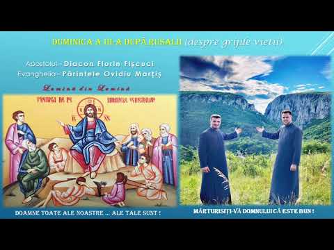 LUMINĂ din LUMINĂ - Despre grijile vieții - Părintele Ovidiu MARȚIȘ și Diacon Florin FIȘCUCI
