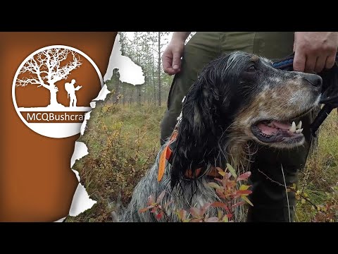 Bushcraft Sweden: Ep04 - Hunting Capercaillie & Black Grouse