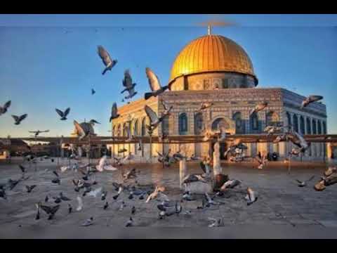 ياحمام القدس / أمل عرفة _ سوسن الحمامي _ هدى العطار _ خولة الراشدي / Ya Hamam Al Kods