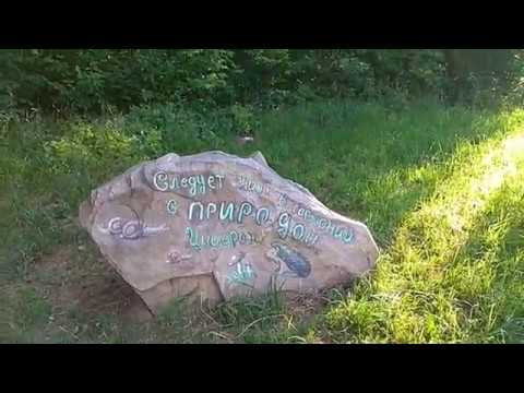 Путешествуем на Шкода Октавия А7! Лыткарино Московская область!