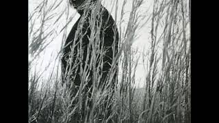 Mates of State - Lower